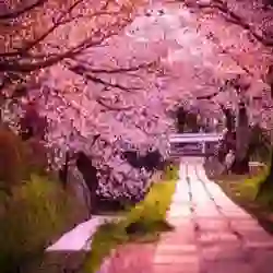 ابي ثلاثينيه للحب